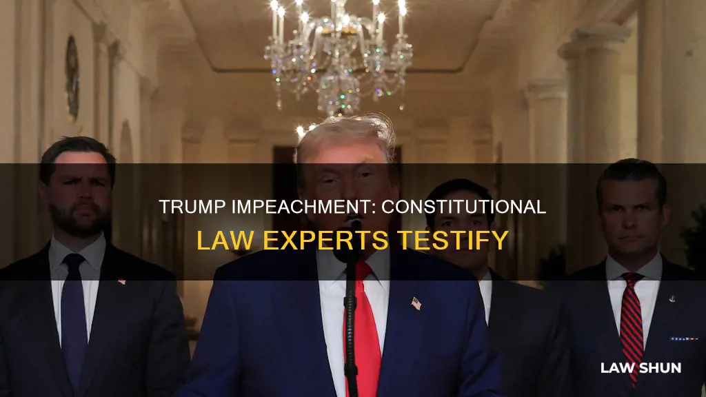 who are there constitutional law testified trump impeachment