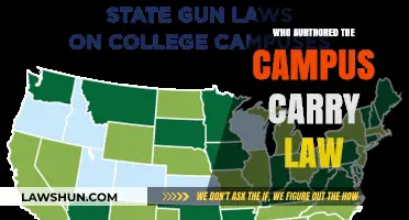Unveiling the Author Behind the Campus Carry Law: A Deep Dive