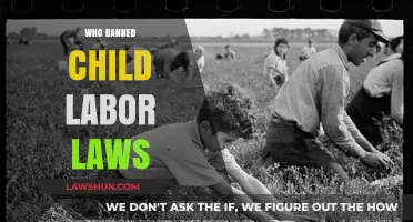 The History of Child Labor Laws: Who Banned Exploitative Practices?