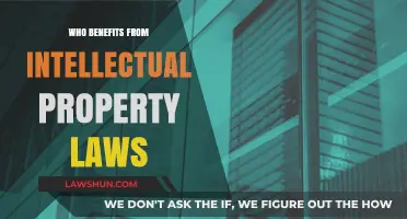 Intellectual Property Laws: Who Gains the Most and Why?
