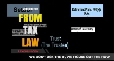 Tax Law: Who Benefits and How?
