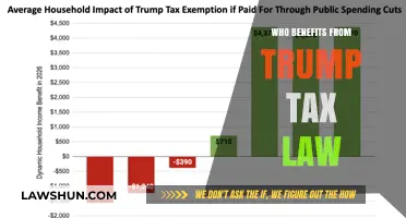 Trump Tax Law: Who Benefits?