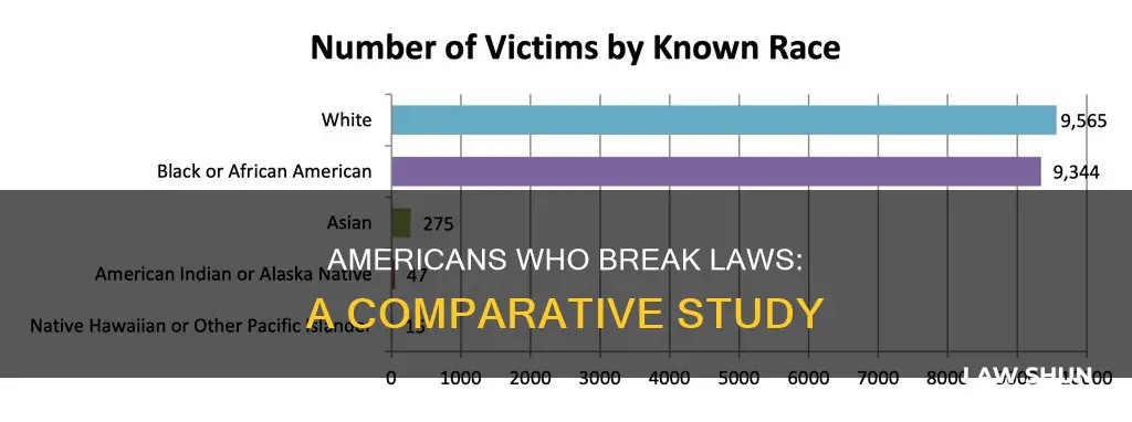 who breaks more laws in america