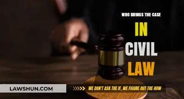 Civil Lawsuits: Who Can File a Case?