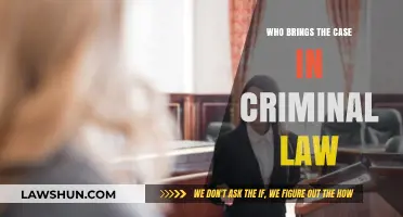 Criminal Law: Who Brings the Case?