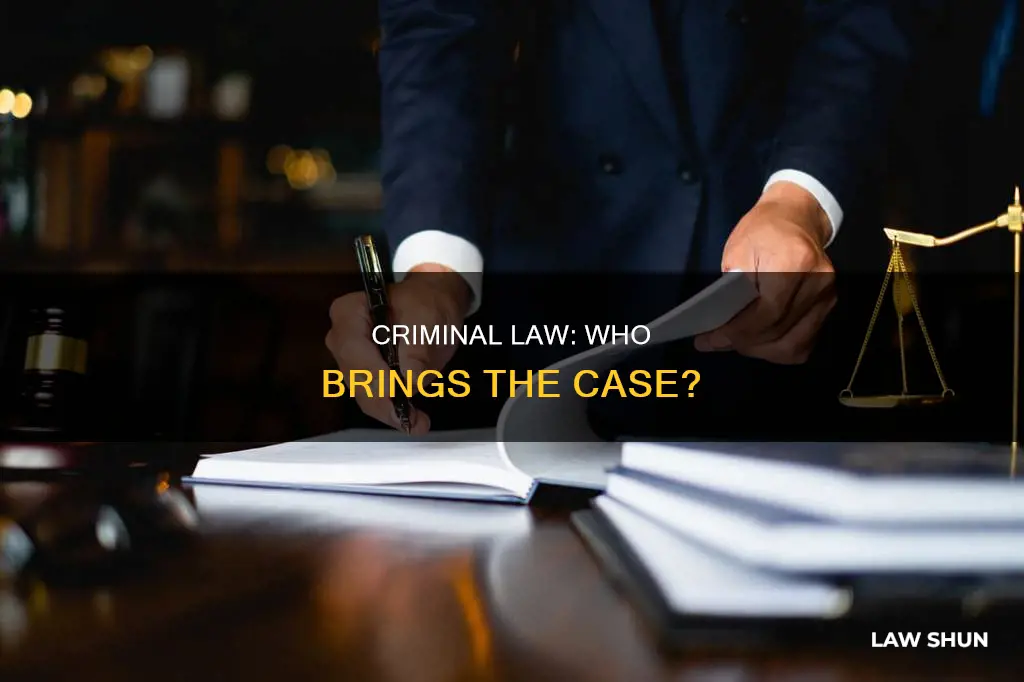 who brings the case in criminal law