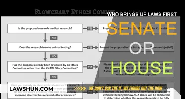 Senate or House: Who Proposes Laws First?