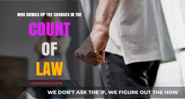 Who Files Charges in Court? Understanding Legal Prosecution Basics