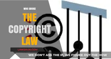 Unveiling the Culprits: Who Violated Copyright Law and How?