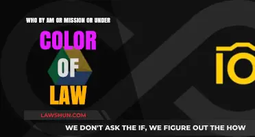 Understanding 'Who By' in Am, Mission, and Under Color of Law