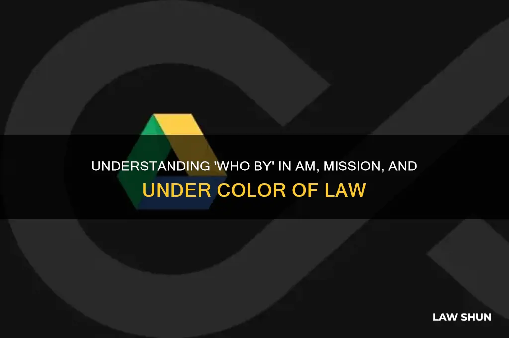 who by am or mission or under color of law