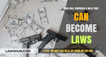 How Bills Become Laws: The Proposal Process