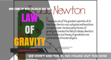 Calculus and Gravity: The Genius Minds Behind Newton's Legacy