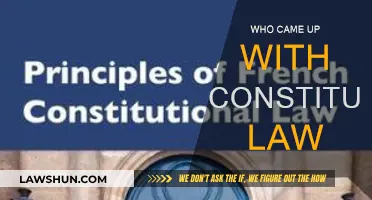 The Birth of Constitutional Law: Who Was the Pioneer?