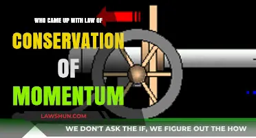 Unveiling the Genius Behind the Law of Conservation of Momentum