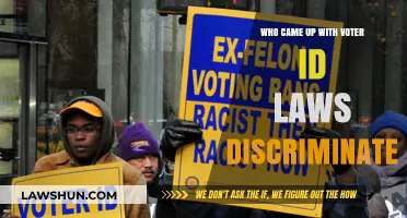 Voter ID Laws: Discriminatory Origins and Their Impact on Democracy