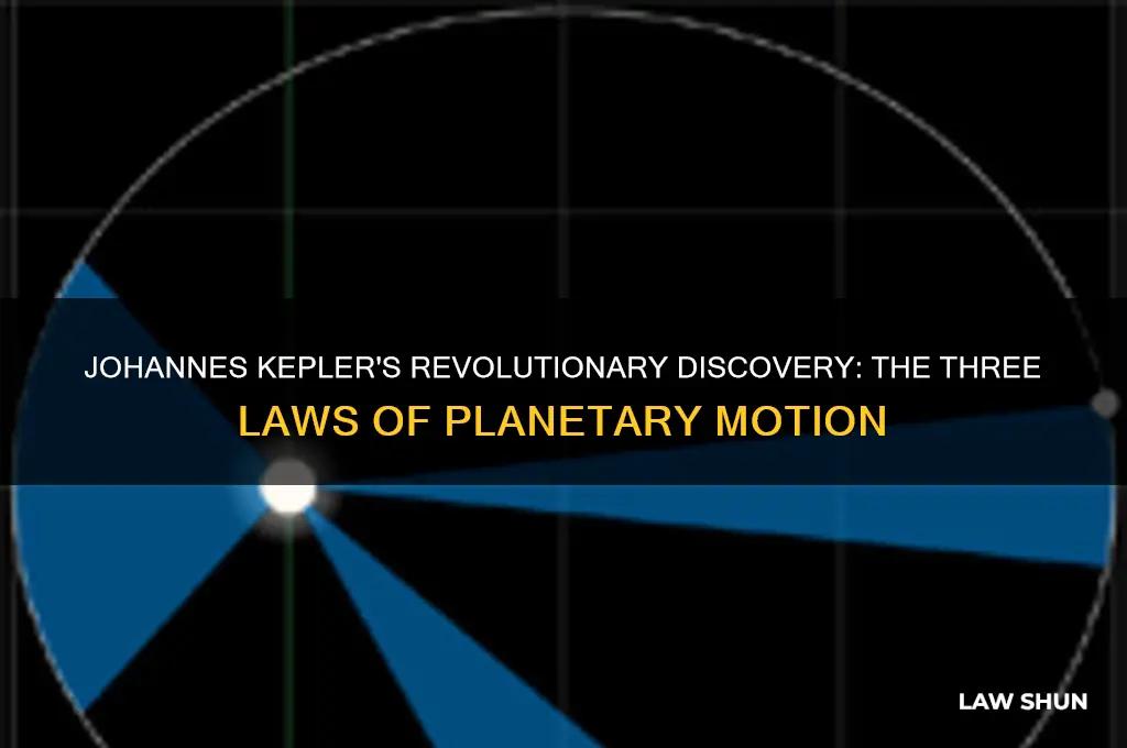 who camp up with the three laws of plantery motion