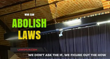 The Power to Repeal Laws