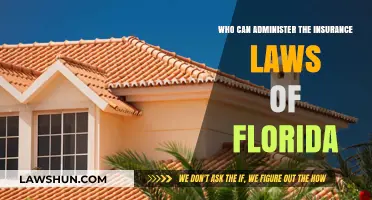 Florida Insurance Laws: Who's in Charge?