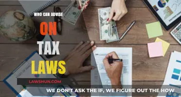 Tax Law Experts: Who to Consult?
