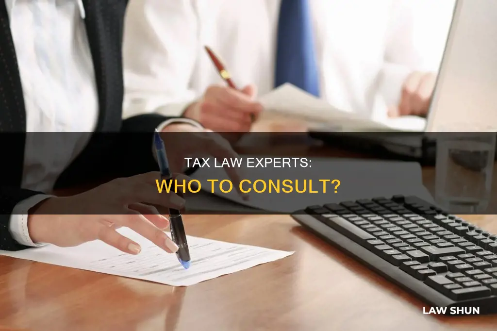 who can advise on tax laws