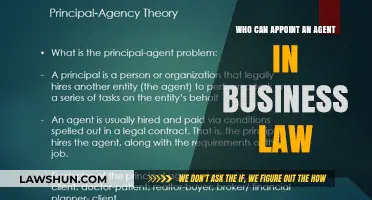 Appointing Agents: Who Has the Power?