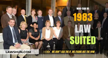 Who Can Be Held Liable Under the 1983 Law?