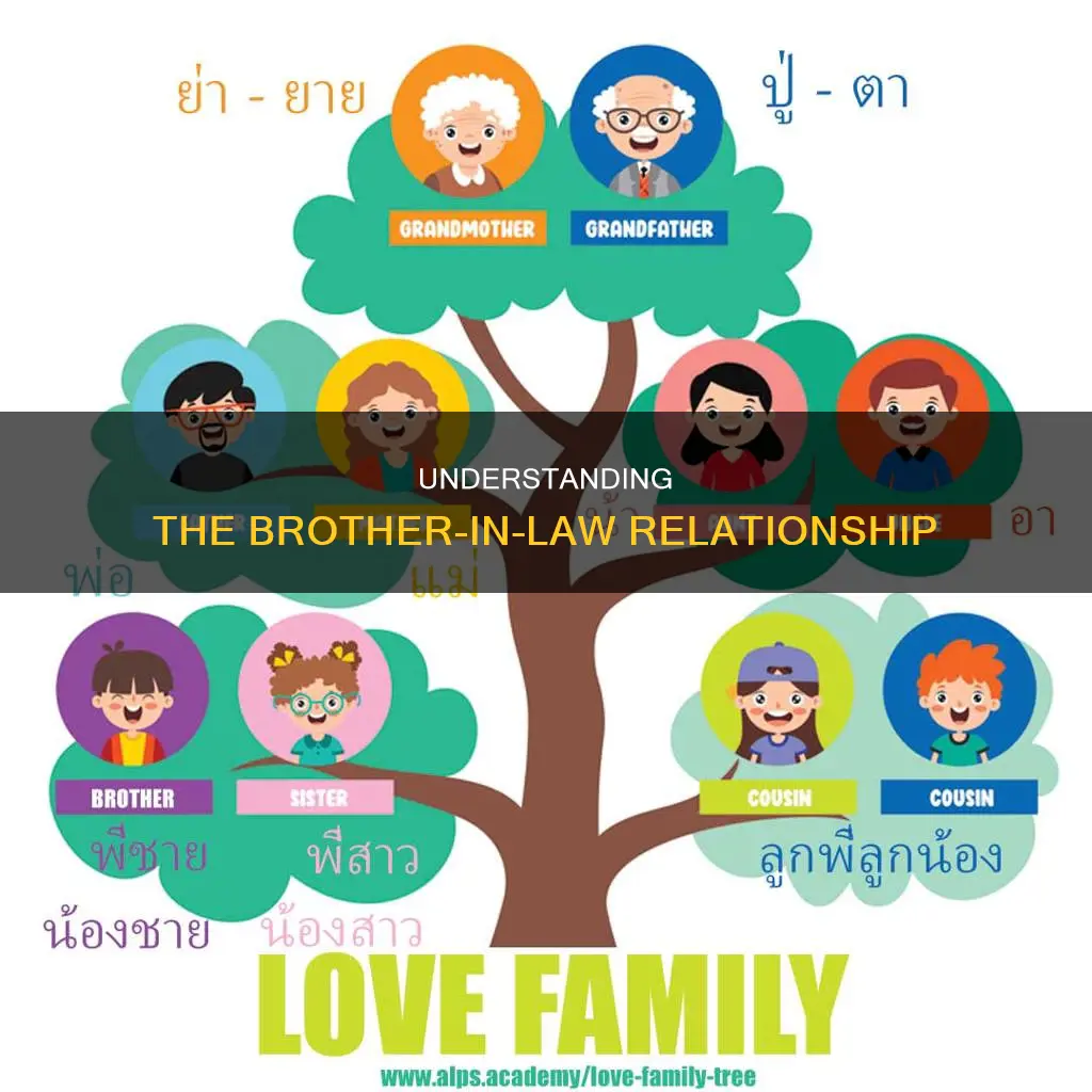 who can be a brother in law