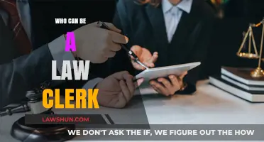 Aspiring Law Clerks: Who Can Join the Profession?