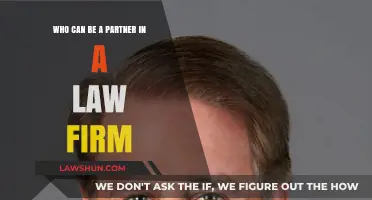 Becoming a Law Firm Partner: Who Qualifies?