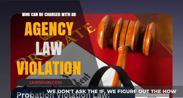 Agency Law Violation: Who Can Be Charged?