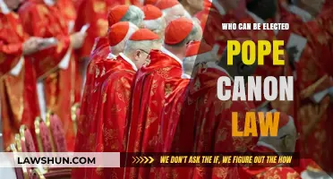 Who Can Be Elected Pope? Canon Law Explained