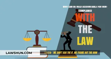 Accountability for Non-Compliance: Who's Responsible?