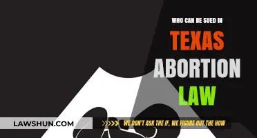 Texas Abortion Law: Who Can Be Sued?