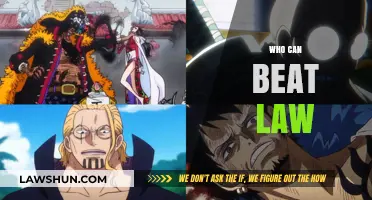 The Invincible: Who Can Beat Law?