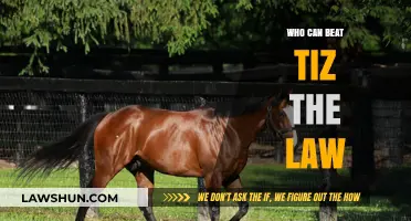 Which Horse Racing Contenders Can Beat Tiz the Law?