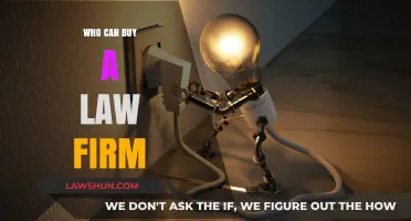 Entrepreneurs: Who Can Buy a Law Firm?