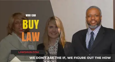 The Rich Buy Laws: Who Owns Justice?