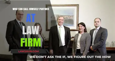 Law Firm Partners: Who Qualifies?