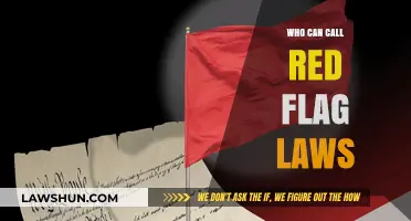 Red Flag Laws: Who Makes the Call?