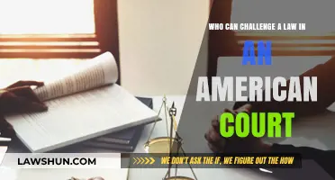 Challenging a Law: Who Can Take Action?