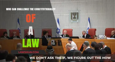 Who Can Challenge the Legality of a Law?