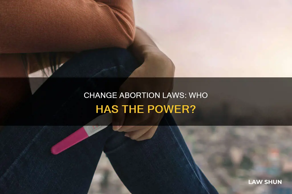 who can change abortion laws