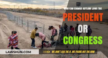 Who Holds the Power? Asylum Laws and Their Makers