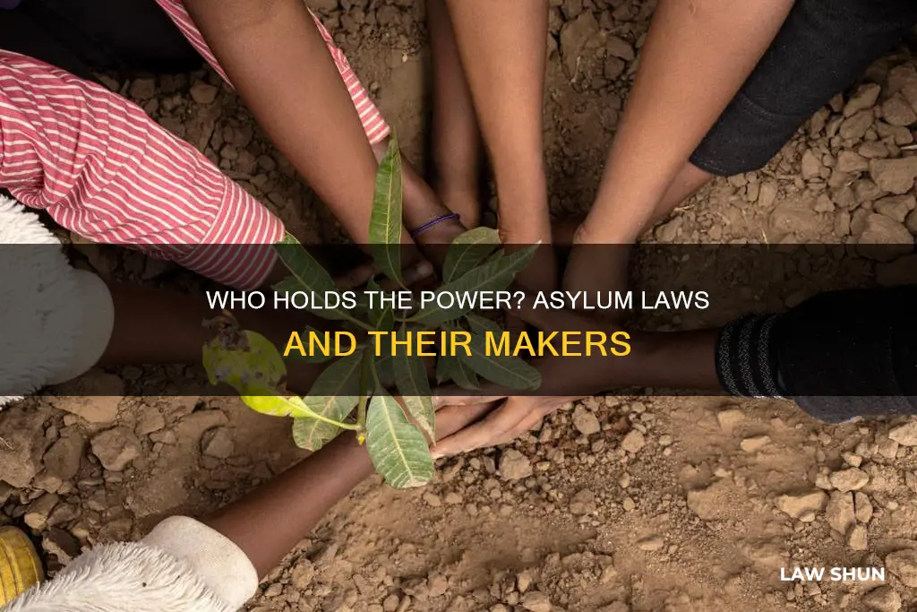 who can change asylum laws the president or congress