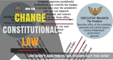 Amending Constitutional Law: Who Holds the Power?