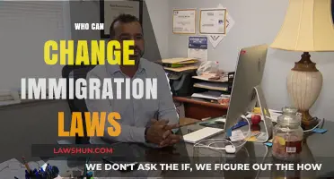 Immigration Law Changes: Who Has the Power?