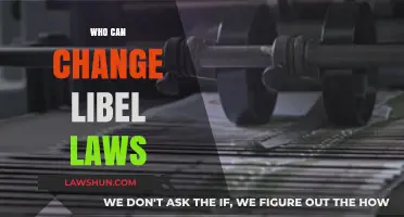 Changing Libel Laws: Who Has the Power?