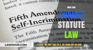 Amending Statute Law: Who Holds the Power?