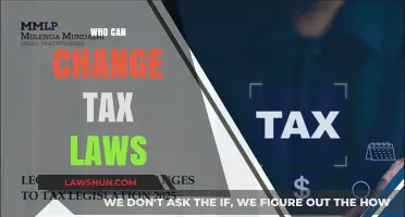 Who Holds the Power to Change Tax Laws?